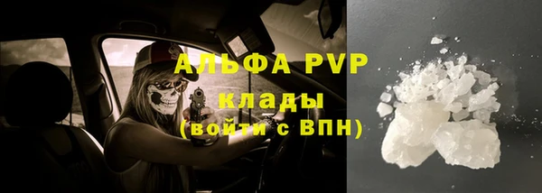 крисы Алзамай
