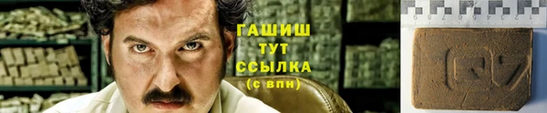 крисы Алзамай