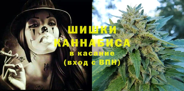 крисы Алзамай