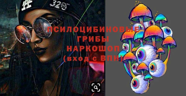 крисы Алзамай